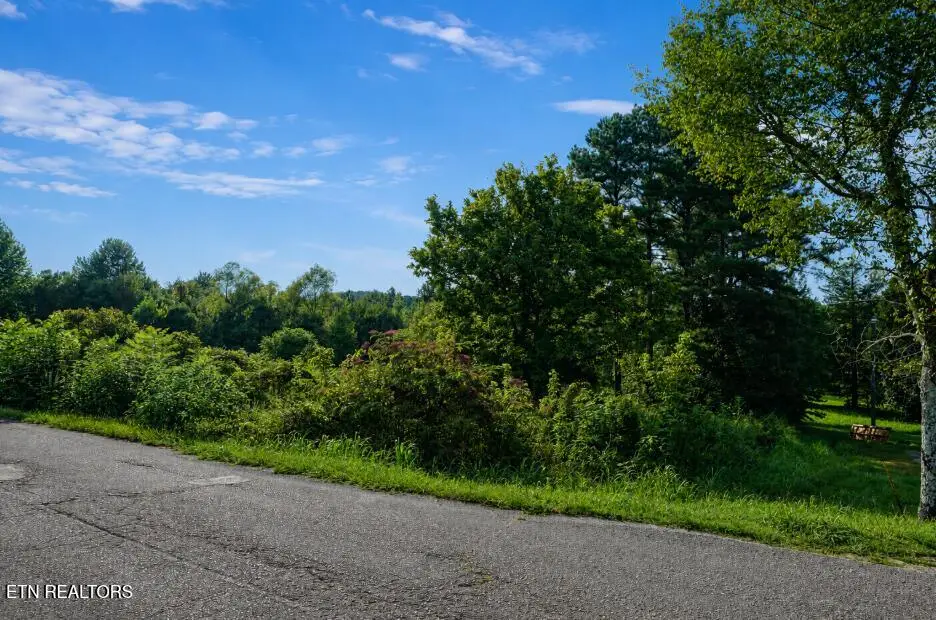 258 Buckner Rd, Philadelphia, TN 37846 - #1