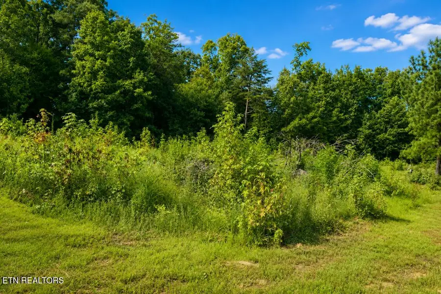 258 Buckner Rd, Philadelphia, TN 37846 - #2