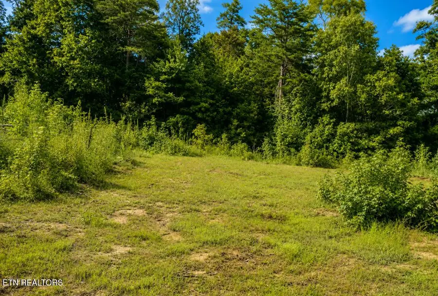 258 Buckner Rd, Philadelphia, TN 37846 - #3
