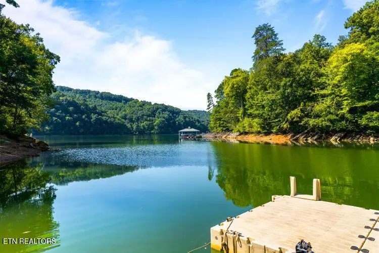 125 Shoreside Rd, New Tazewell, TN 37825 - #3