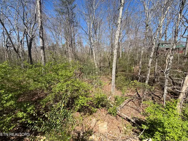 5054 Chinook Lane, Crossville, TN 38572