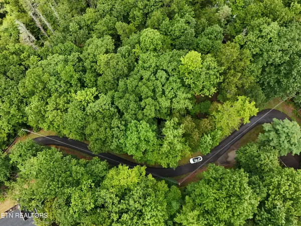 920 Black Gum Gap Rd, Gatlinburg, TN 37738