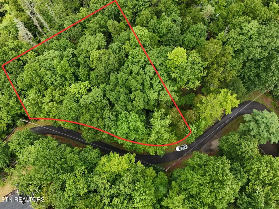 920 Black Gum Gap Rd, Gatlinburg, TN 37738 - #2
