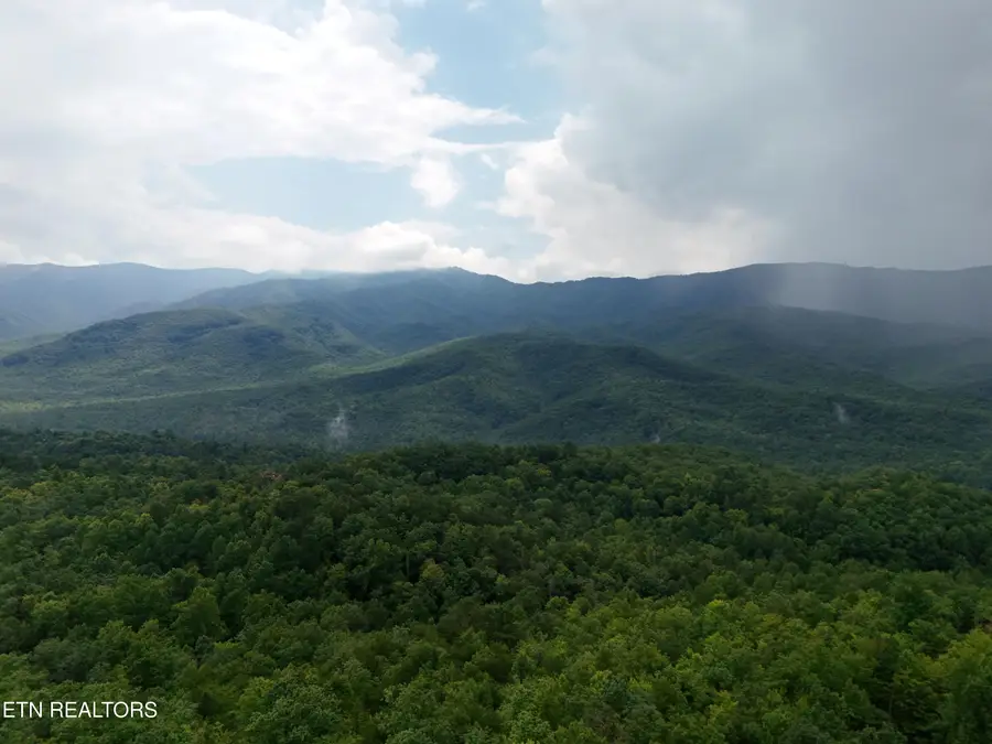 920 Black Gum Gap Rd, Gatlinburg, TN 37738 - #3