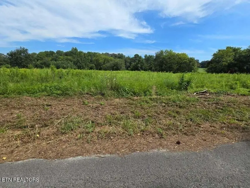 127 S U Lot 25, Dunlap, TN 37327 - #1