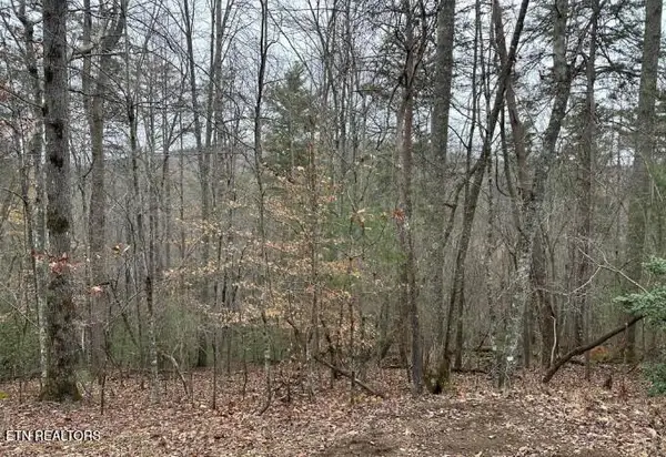 173 Pineridge Loop, Fairfield Glade, TN 38558