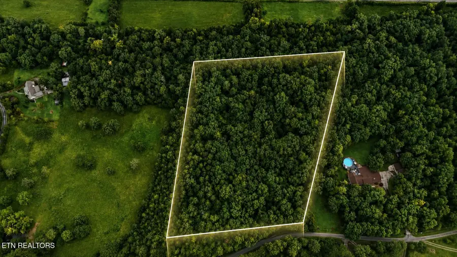 1903 Tree Tops Lane, Seymour, TN 37865 - #2