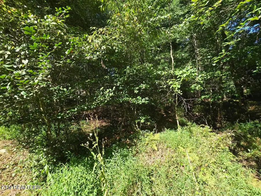 16 Holly Court, Crossville, TN 38558 - #2