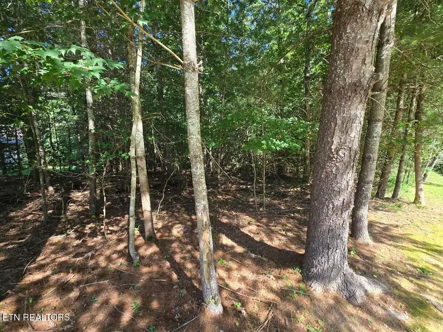 16 Holly Court, Crossville, TN 38558 - #3