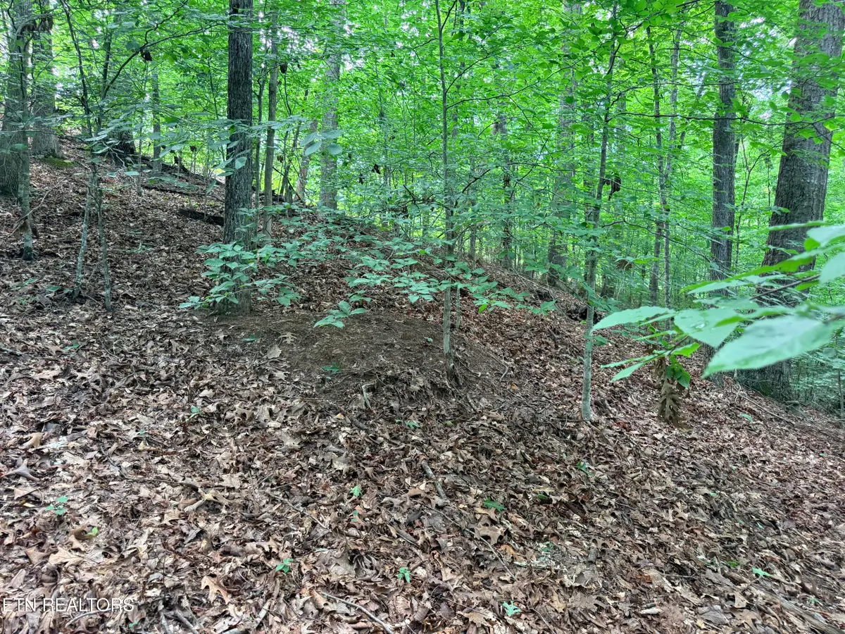 Lot 128 Islandview Point, Sharps Chapel, TN 37866 - #1