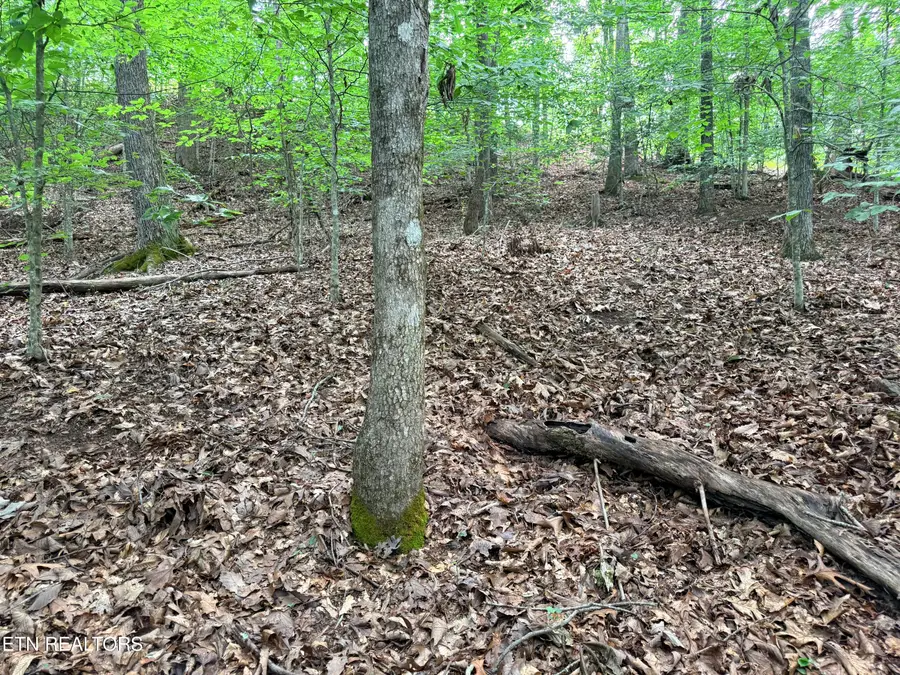 Lot 128 Islandview Point, Sharps Chapel, TN 37866 - #2