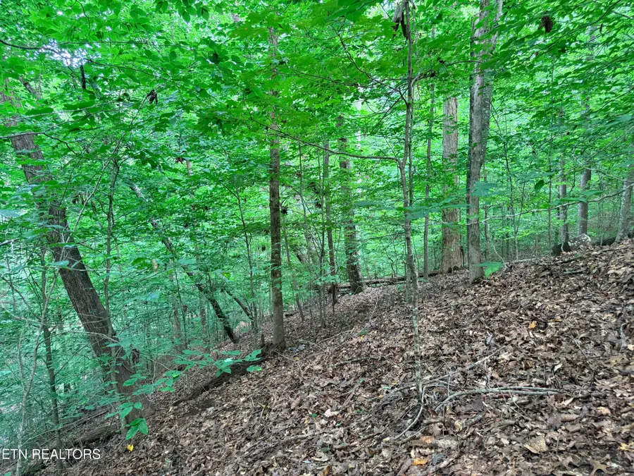 Lot 128 Islandview Point, Sharps Chapel, TN 37866 - #3