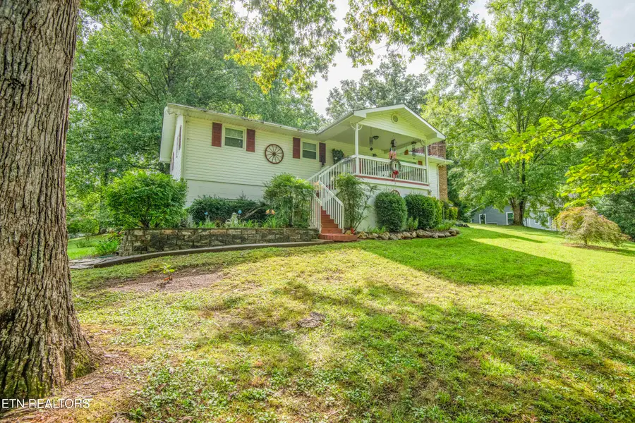 248 Mountain Ave, Townsend, TN 37882 - #2