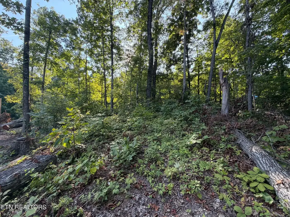 Center Lane, New Tazewell, TN 37825 - #1