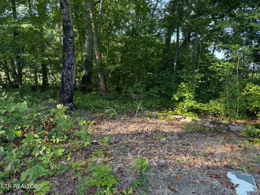 Center Lane, New Tazewell, TN 37825 - #2