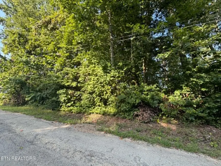 Center Lane, New Tazewell, TN 37825 - #3