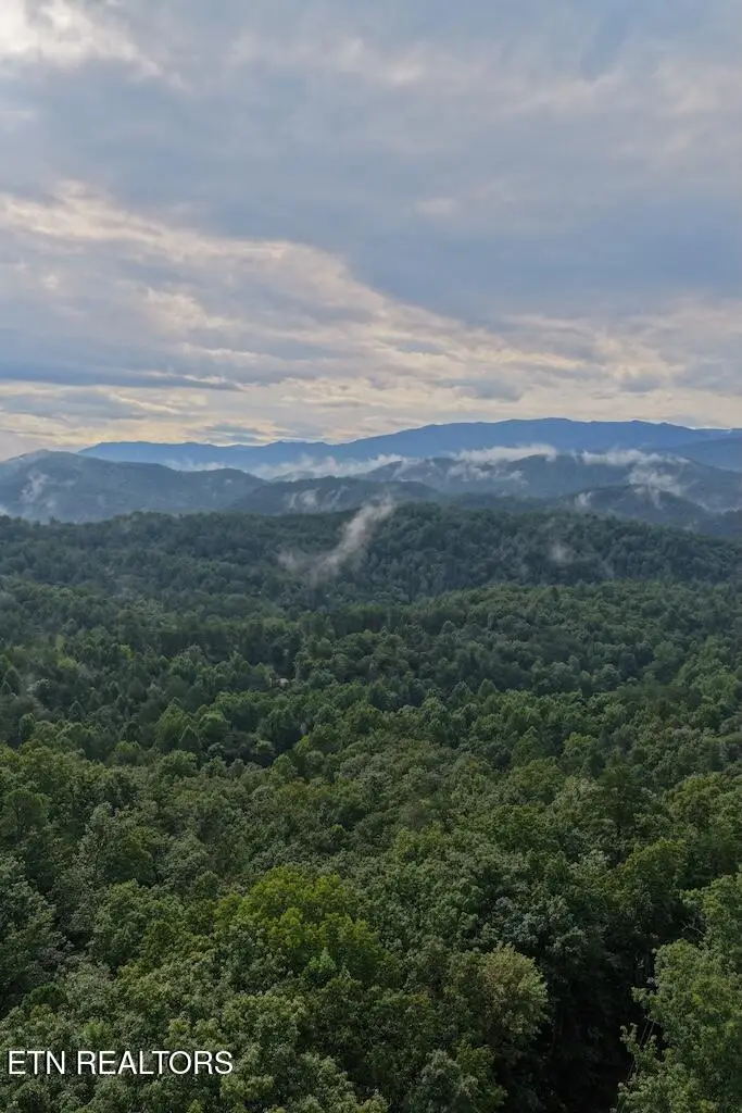 Lot 44 Shady Oaks Way, Sevierville, TN 37876 - #1