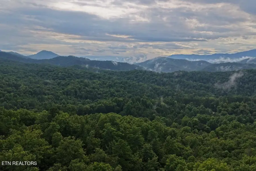 Lot 44 Shady Oaks Way, Sevierville, TN 37876 - #2