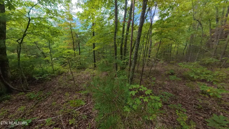 Lot 44 Shady Oaks Way, Sevierville, TN 37876 - #3