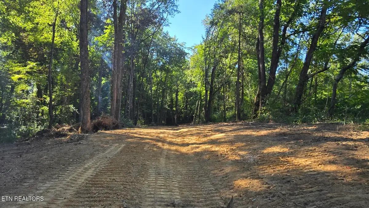 Shady Lane, Oneida, TN 37841 - #1