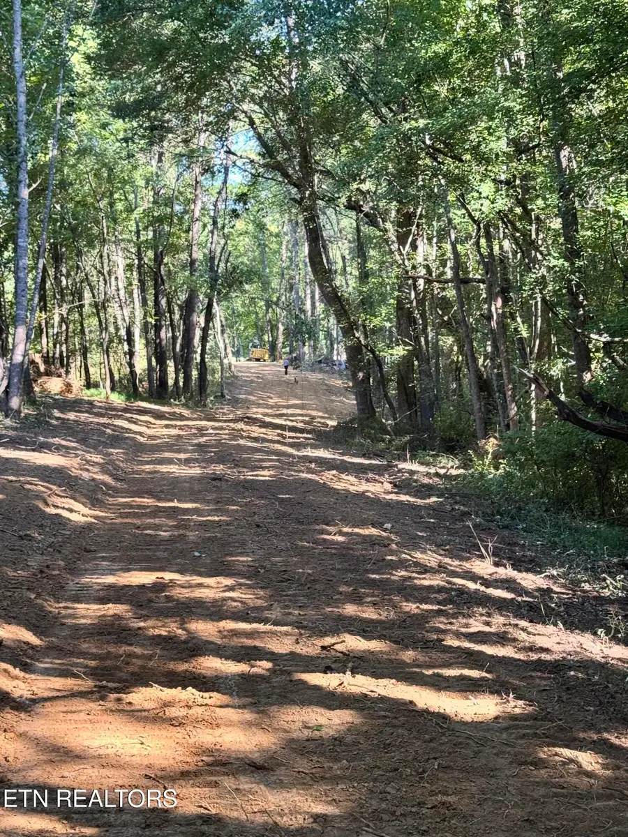 Shady Lane, Oneida, TN 37841 - #3