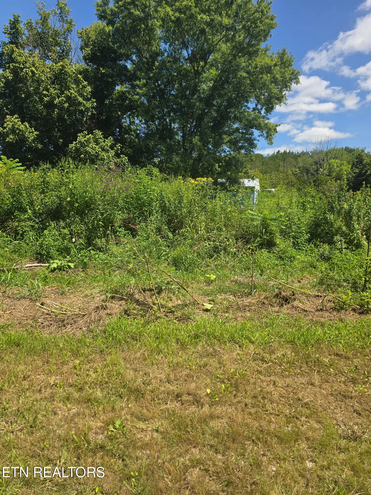 152 & 138 Wilmoth Lane, Washburn, TN 37888 - #1