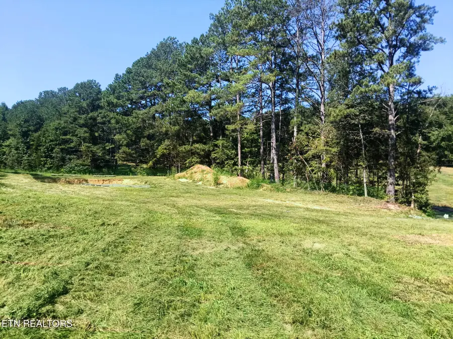 Lot 2 County Road 181, Decatur, TN 37322 - #2