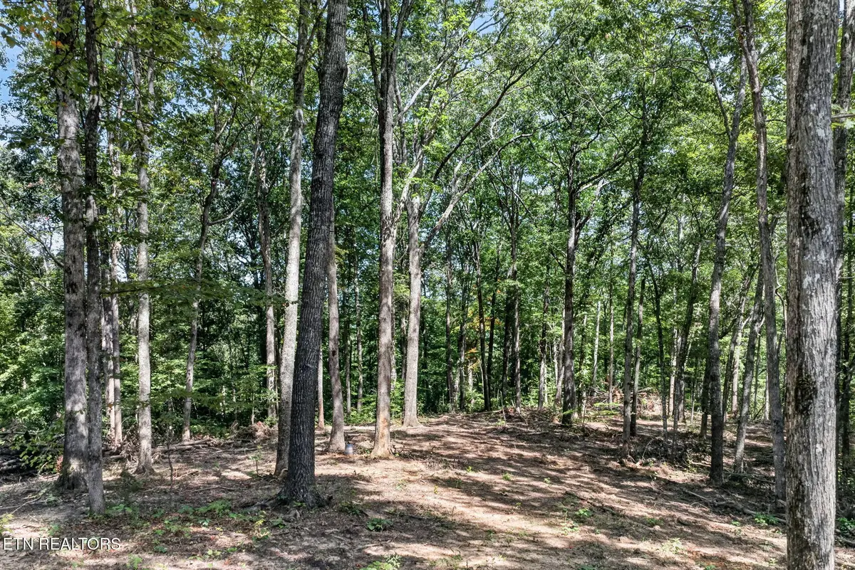 Lot 40 Pioneer Trail Lane, Crawford, TN 38554 - #1