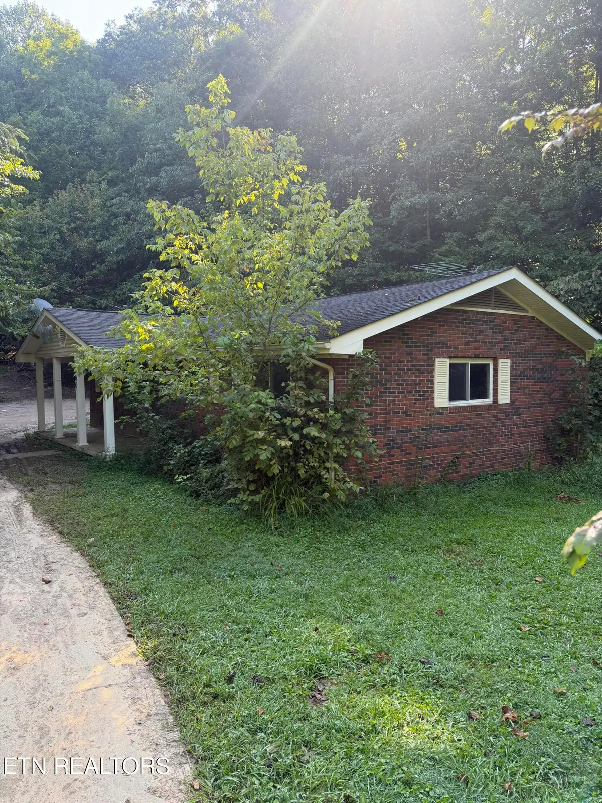 260 Dark Hollow Rd, Andersonville, TN 37705 - #1