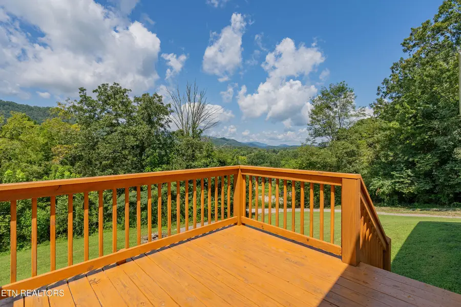 338 Old Clear Branch Lane, Rocky Top, TN 37769 - #2