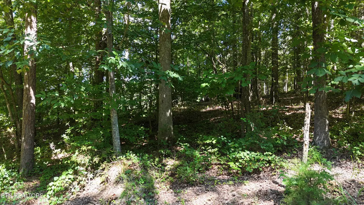 000 Fezzell Rd, Decatur, TN 37322 - #1