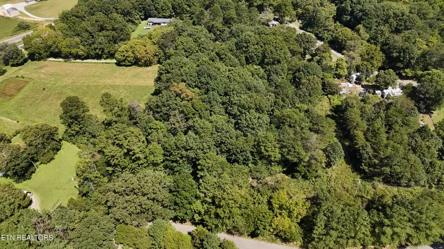 000 Fezzell Rd, Decatur, TN 37322 - #2