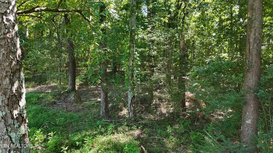 000 Fezzell Rd, Decatur, TN 37322 - #3