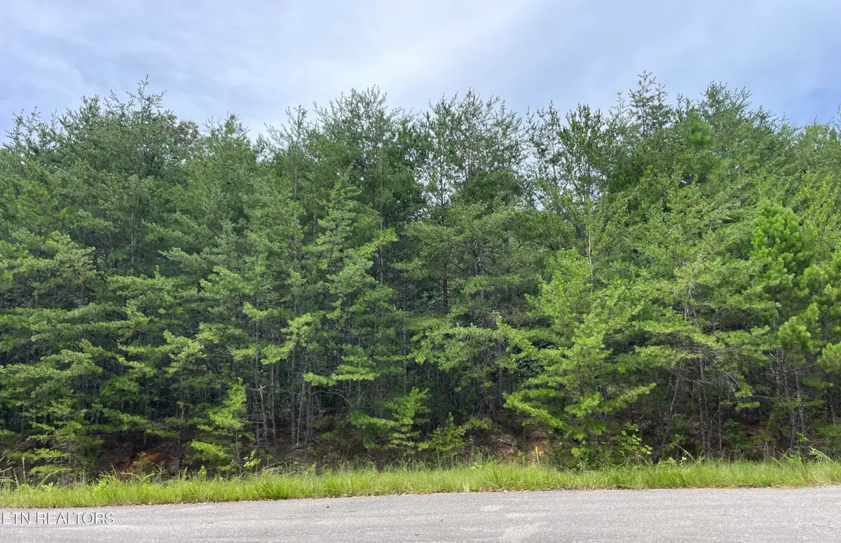 742 White Dogwood Rd, Cosby, TN 37722 - #1