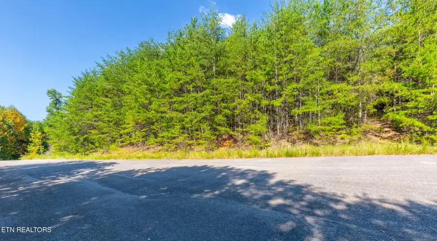 742 White Dogwood Drive, Newport, TN 37821 - #3