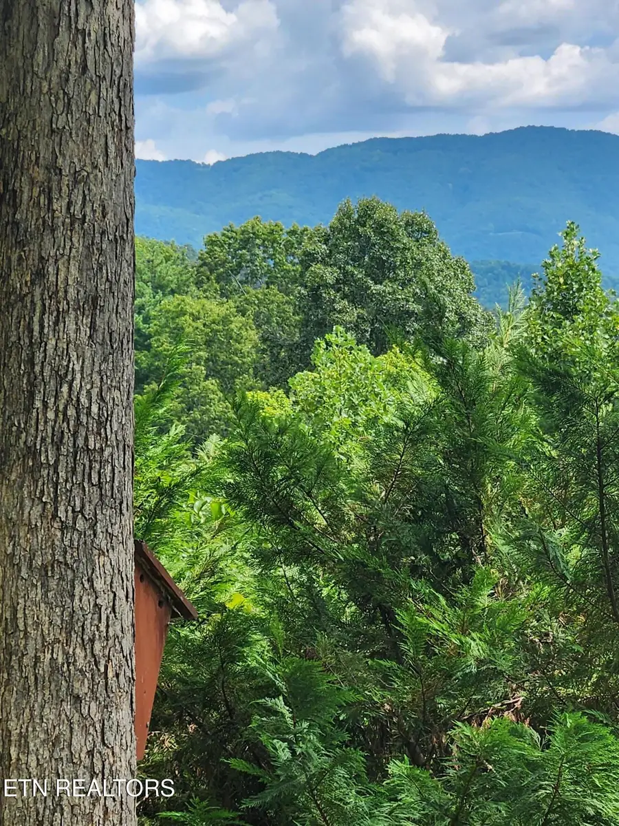 1695 Cane Creek Mountain Rd, Tellico Plains, TN 37385 - #2