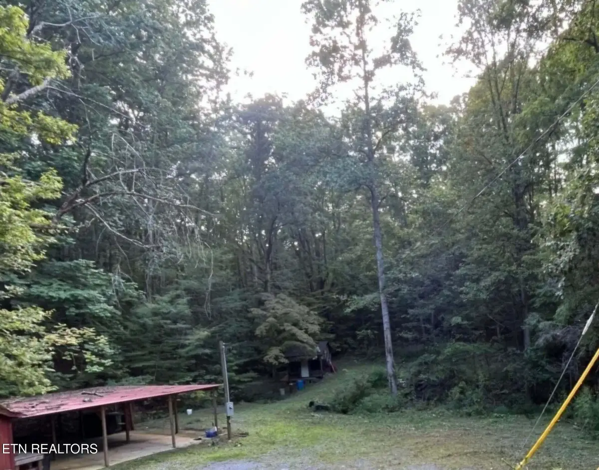 1241 Azalea Lane Lane, Newport, TN 37821 - #1