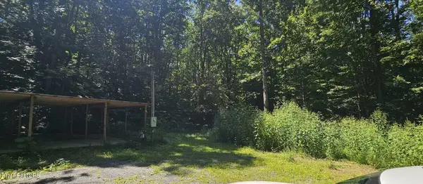 1241 Azalea Lane Lane, Newport, TN 37821