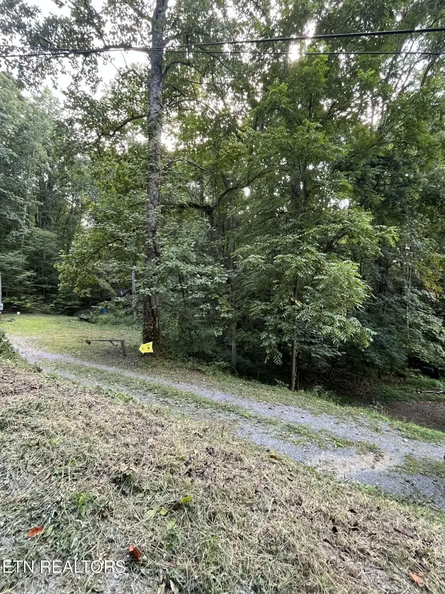 1241 Azalea Lane Lane, Newport, TN 37821 - #3