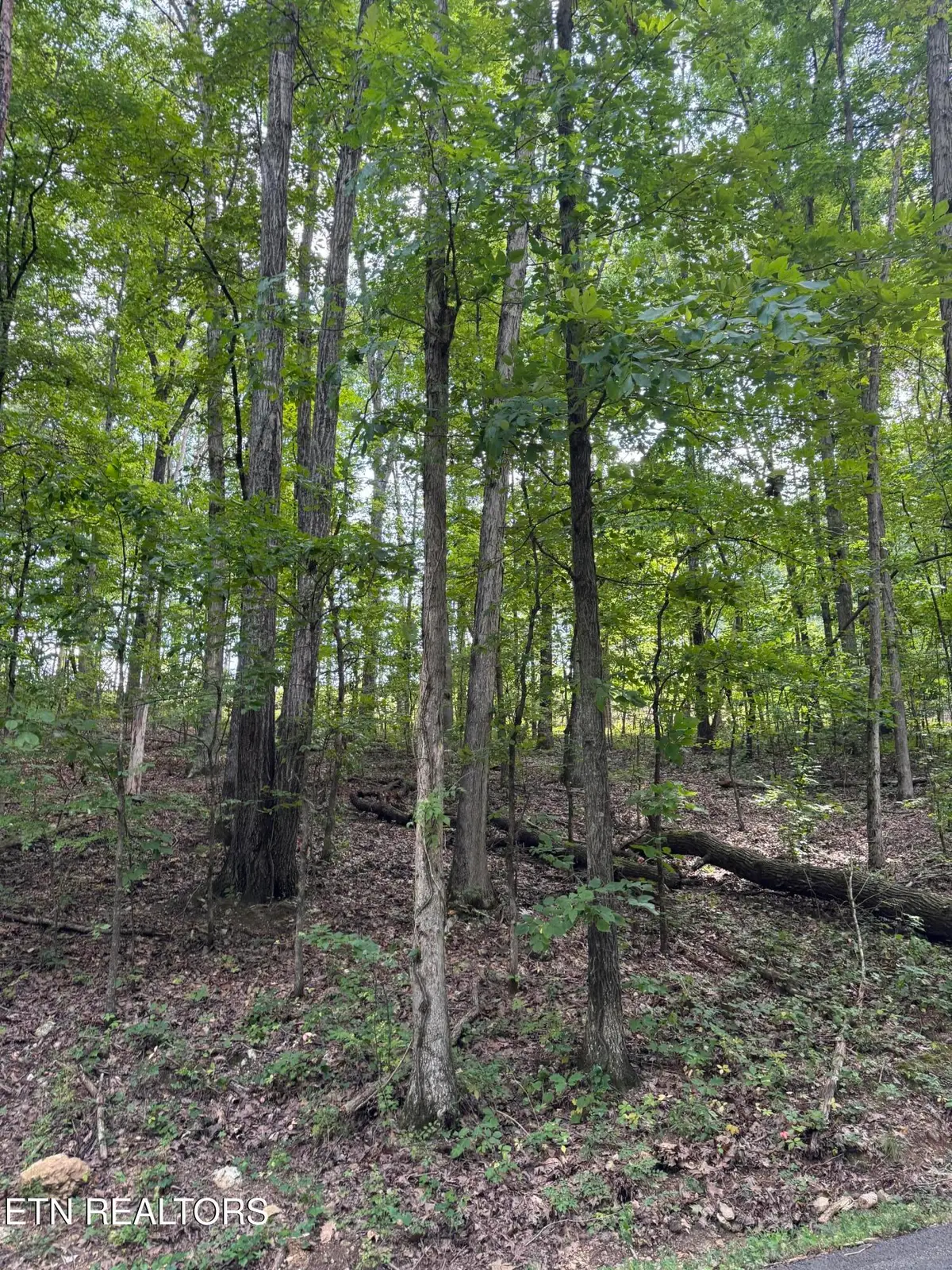 1ac Sunnyside Rd, Philadelphia, TN 37846 - #1