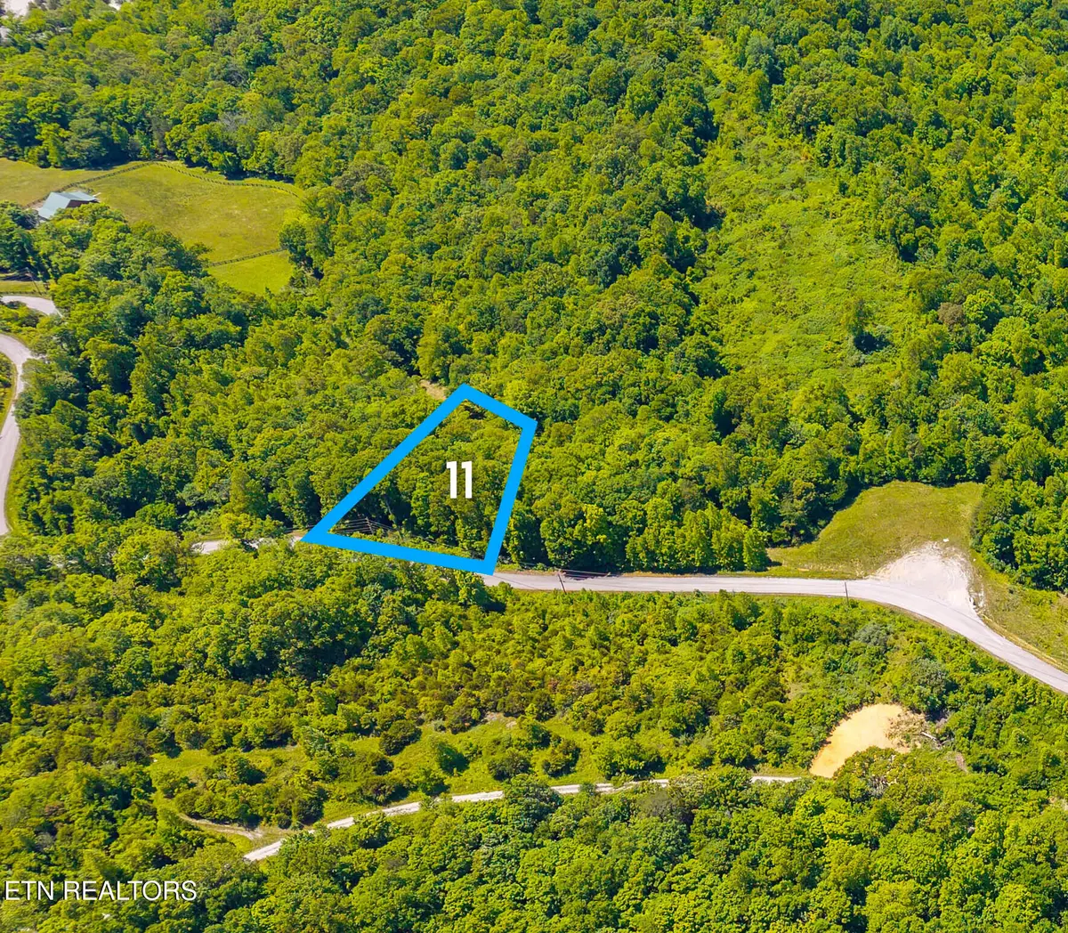 Lot 11 Saddleridge Drive, Speedwell, TN 37870 - #1