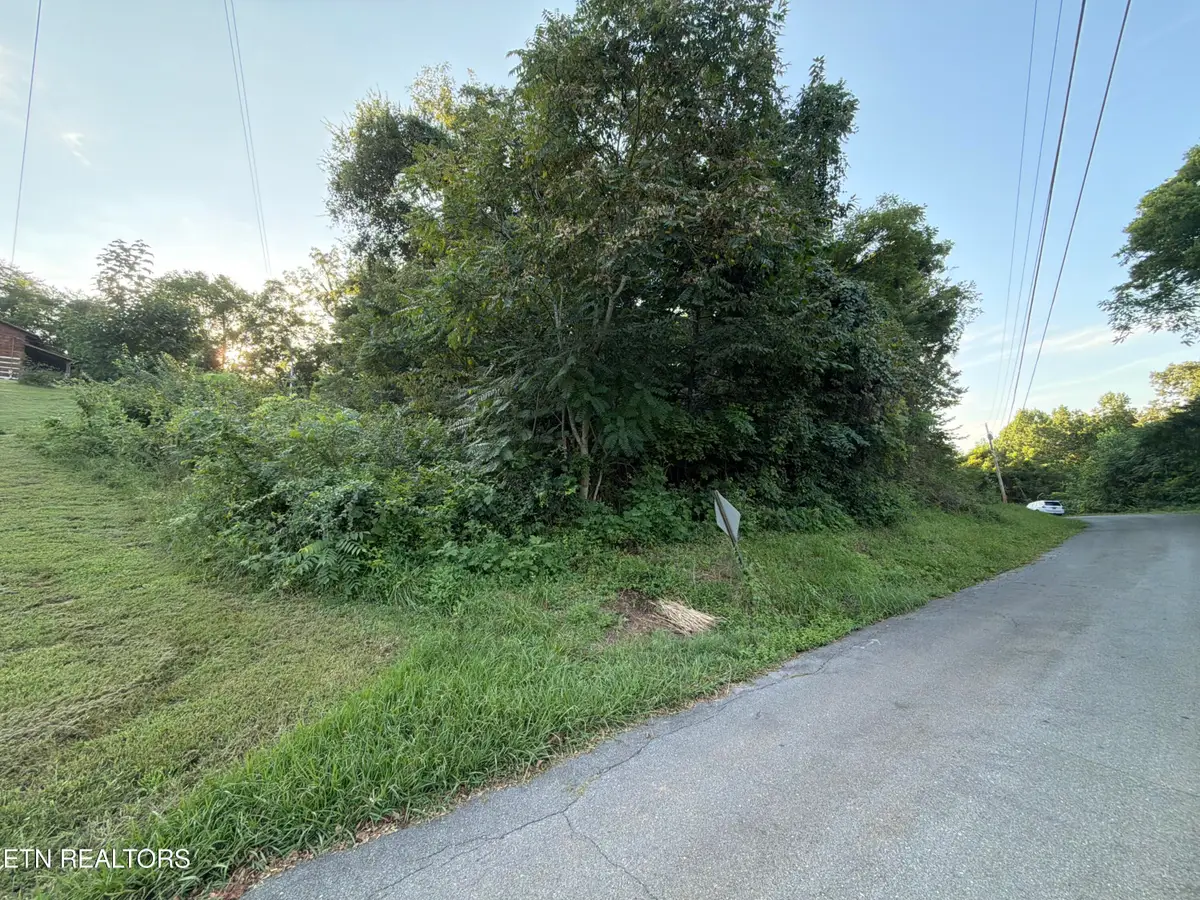 City View Drive, Newport, TN 37821 - #1