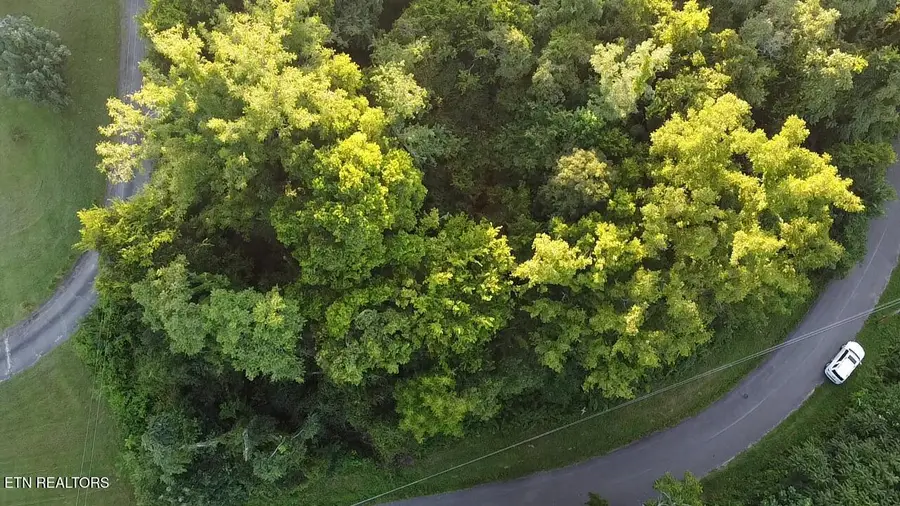 City View Drive, Newport, TN 37821 - #2