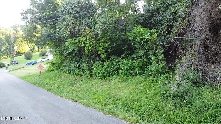 City View Drive, Newport, TN 37821 - #3