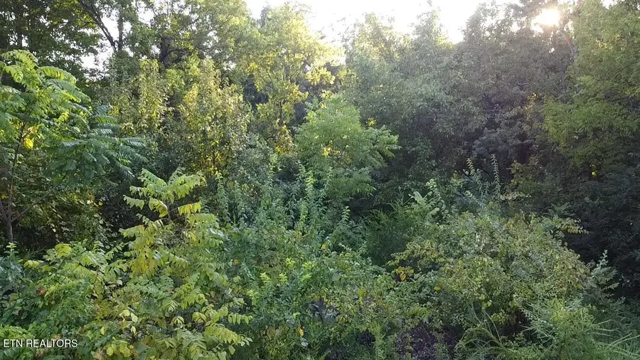 141 Blazer St, Newport, TN 37821 - #2