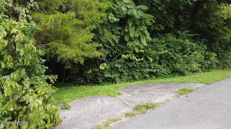 Cliffwood Drive #23, Newport, TN 37821 - #3