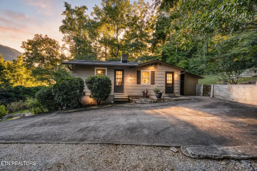 733 Cavern Rd, Townsend, TN 37882 - #2