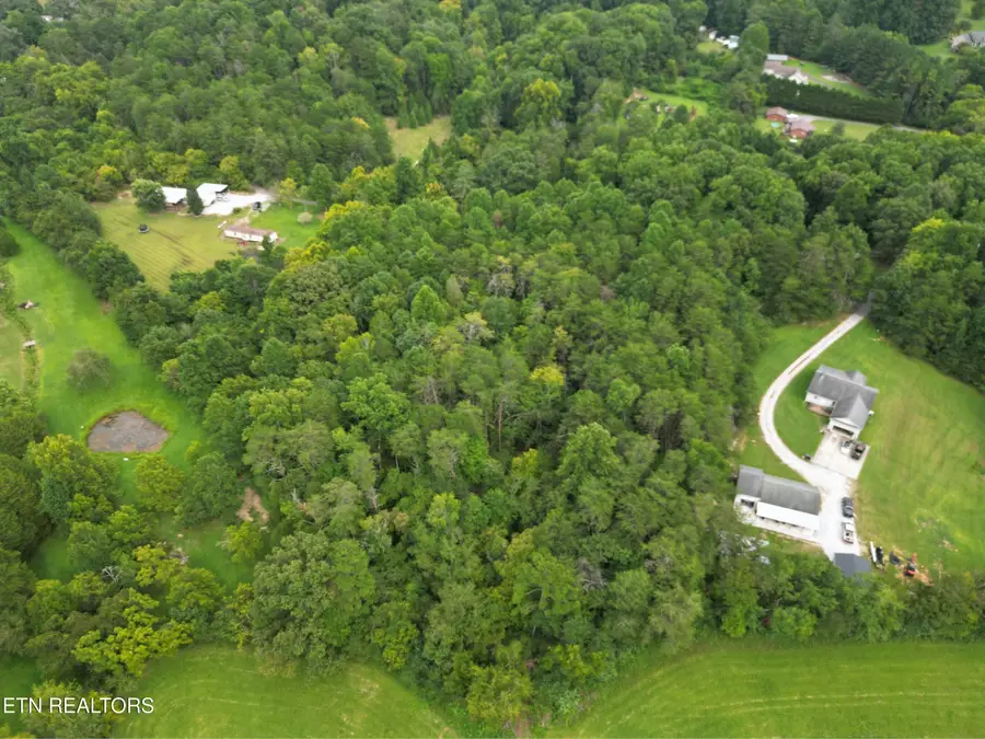 254 Four Mile Rd, Kingston, TN 37763 - #3