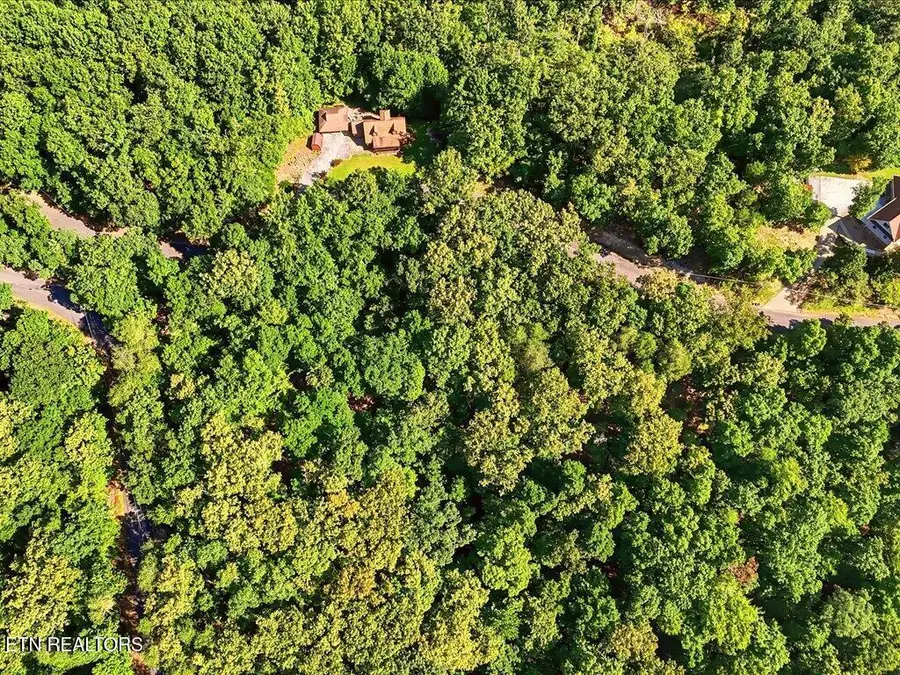 1404 Echota Lane, Mooresburg, TN 37811 - #2