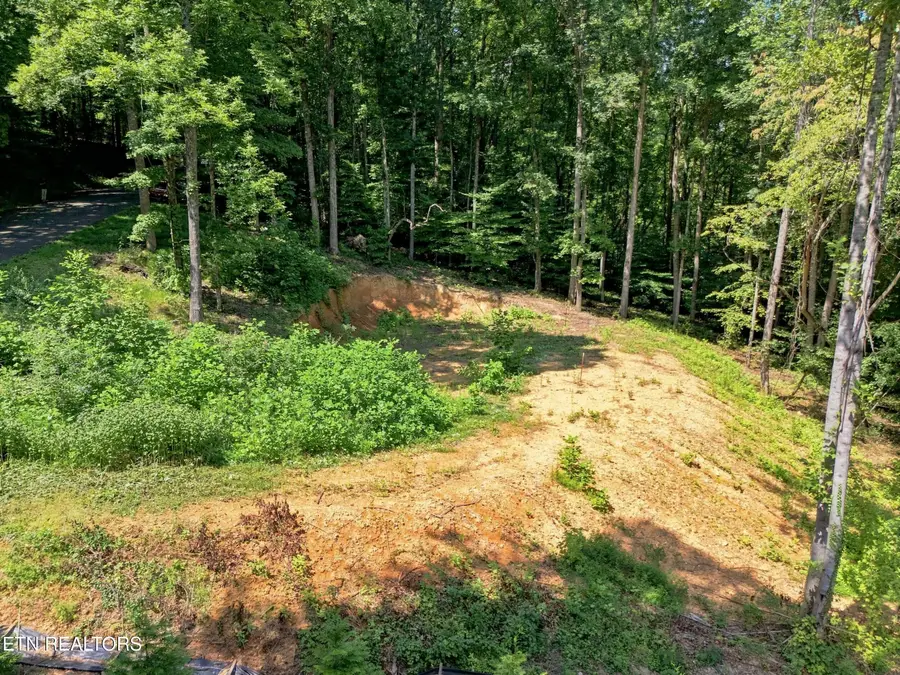 617 Skyline Drive, Clinton, TN 37716 - #2
